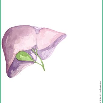 Illustration.