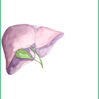 Illustration.