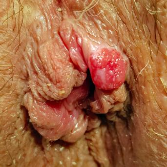 c666a972-4442-45c4-af31-88c4b0de1bbb.jpg
