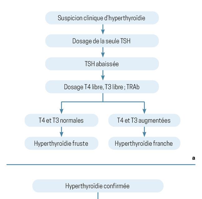 Hyperthyroïdie diagnostic et le traitement La Revue du Praticien